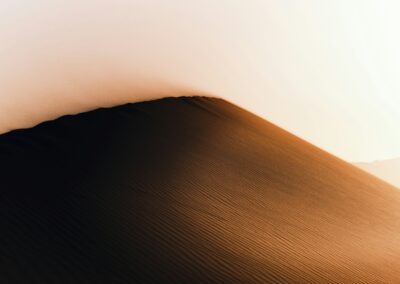 L&rsquo;envol des conditionnels